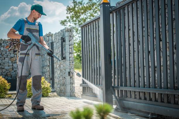 Best Roof Cleaning and Mildew Removal in Cherokee, IA