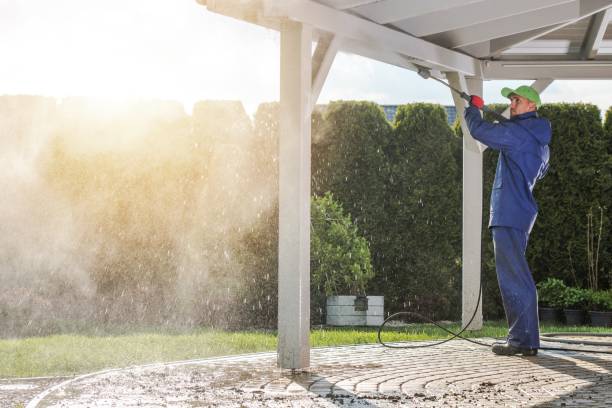 Best Gutter Cleaning and Brightening in Cherokee, IA